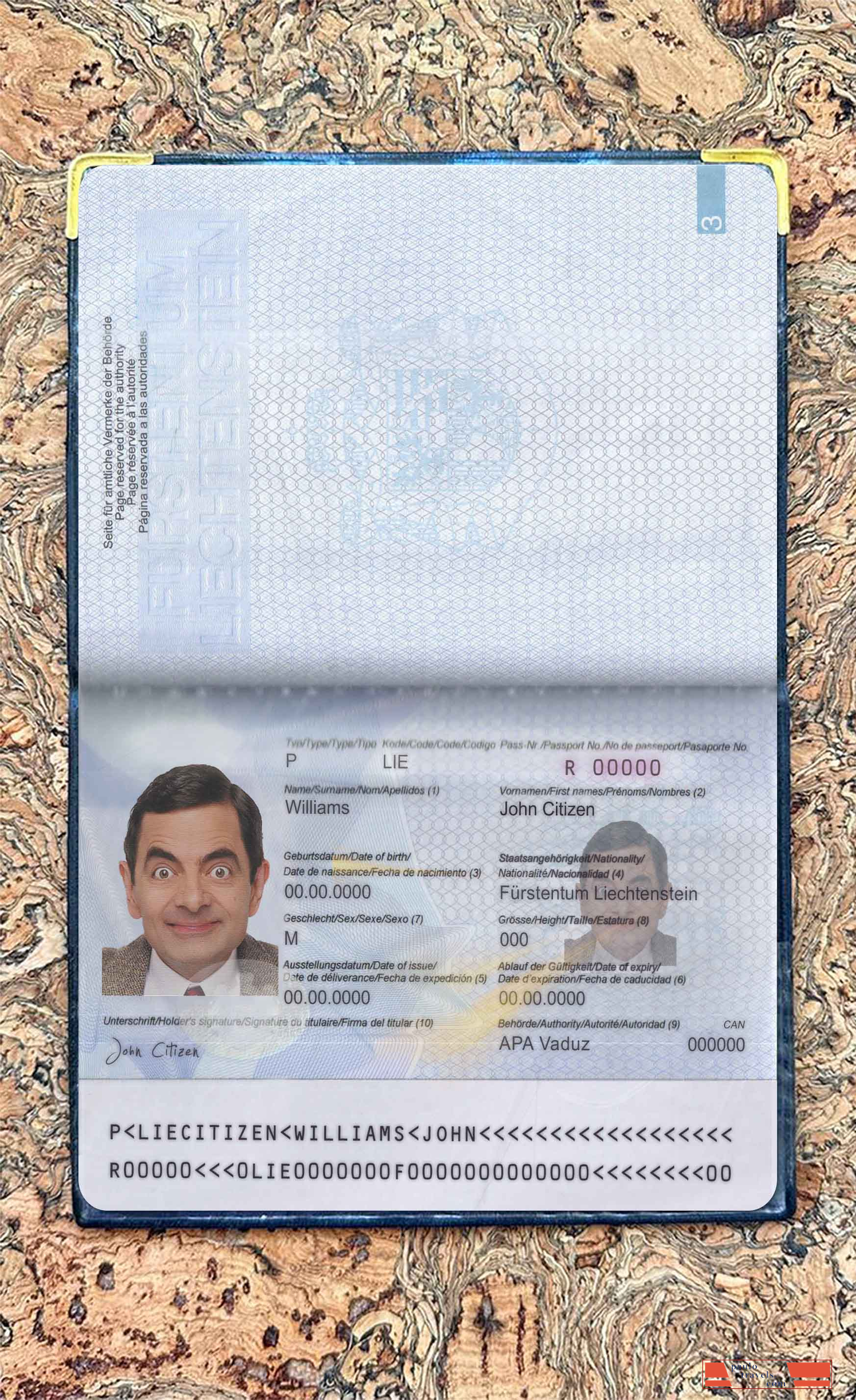 Liechtenstein pass photo look PSD template